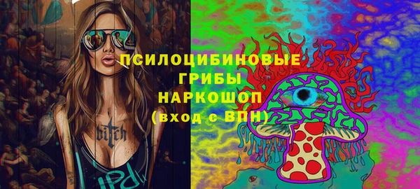 spice Богородицк