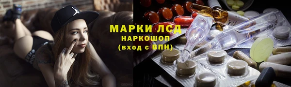 spice Богородицк