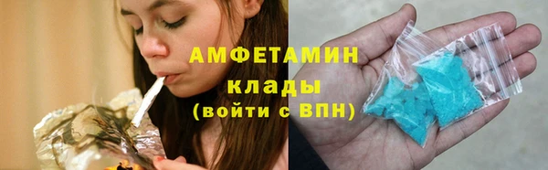 spice Богородицк