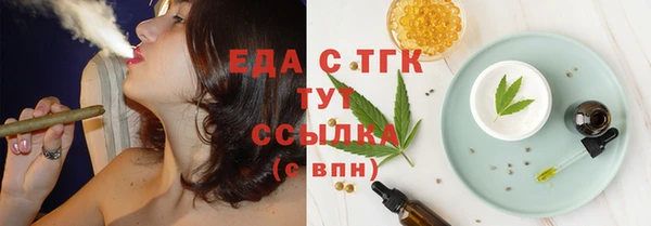 spice Богородицк