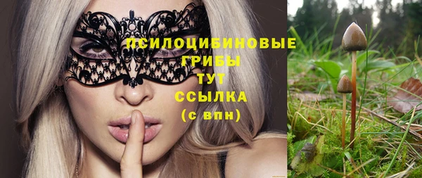 spice Богородицк