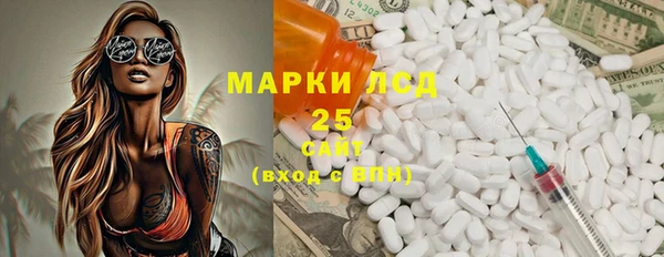 spice Богородицк