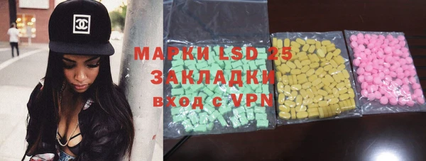 spice Богородицк