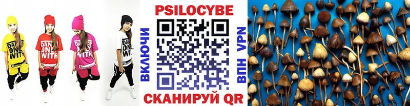 Псилоцибиновые грибы Magic Shrooms  цена наркотик  Смоленск 